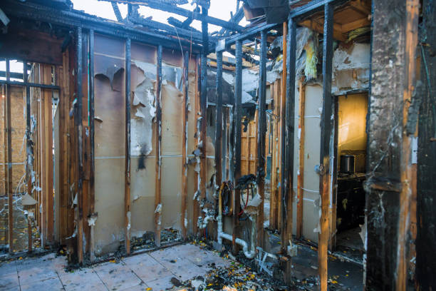Professional Fire Damage Removal technician working in Wallingford, PA