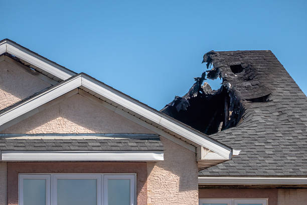 Top rated local Fire Damage Removal specialists in Wallingford, PA